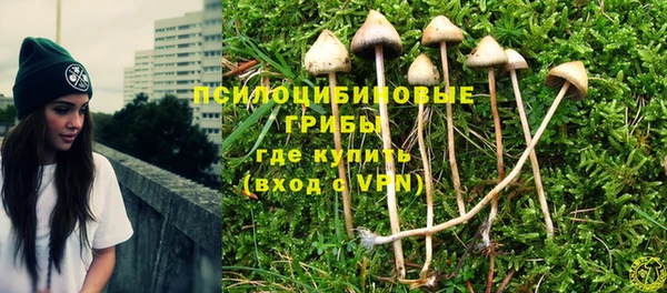 стаф Костерёво