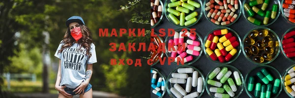 амф Краснослободск