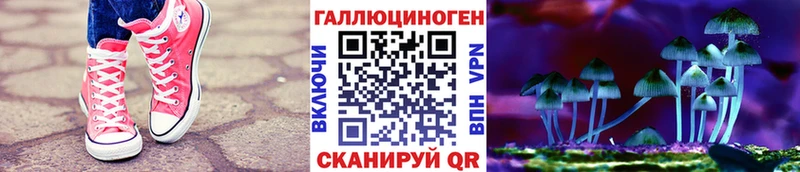 Галлюциногенные грибы мицелий  купить наркотик  Ярославль 