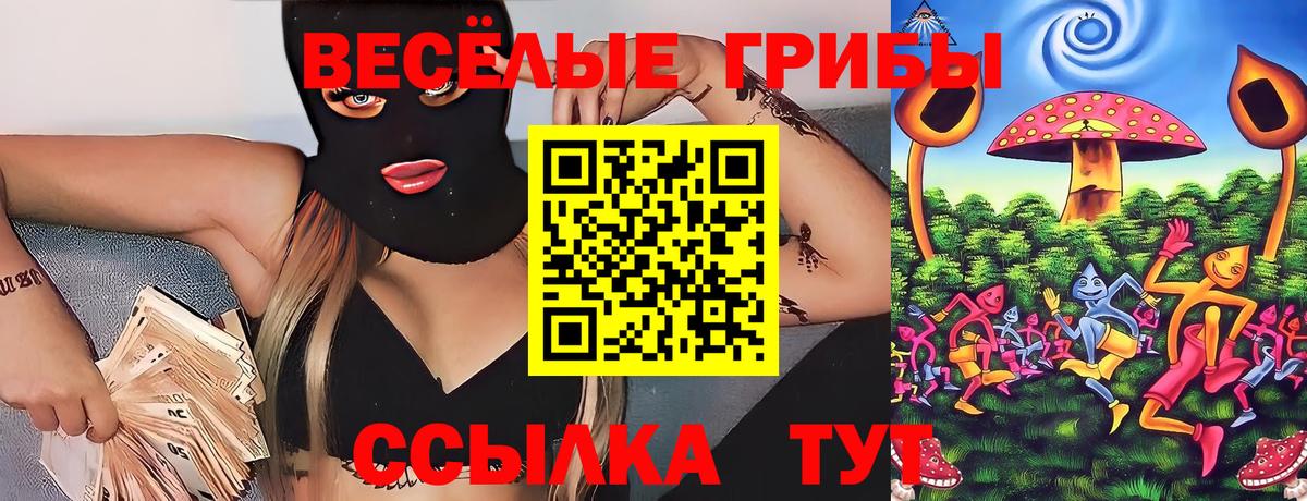 Ярославль  Псилоцибиновые грибы мухоморы  Вход с VPN 