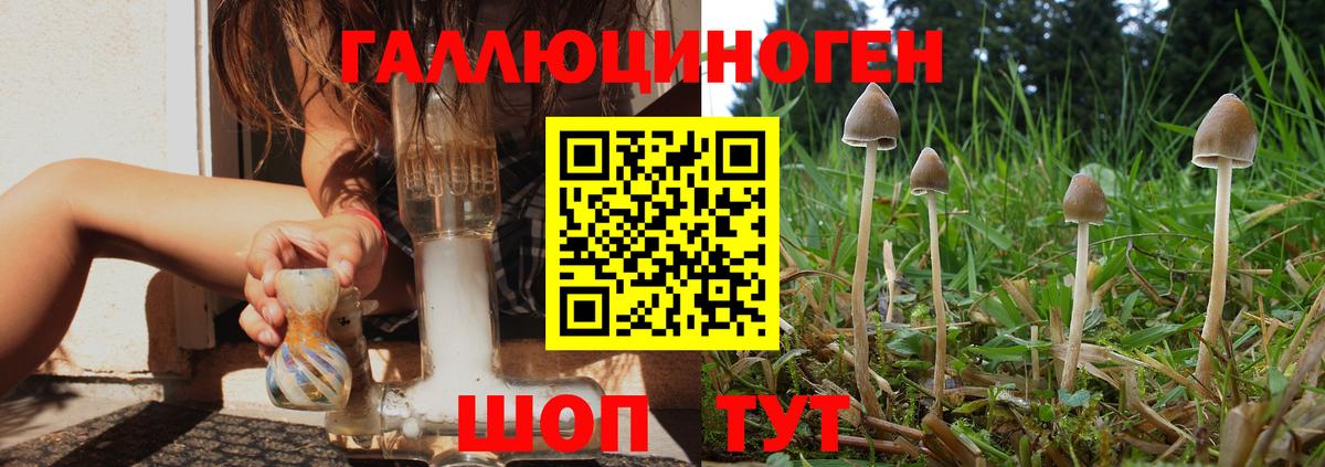 Псилоцибиновые грибы Psilocybine cubensis  Галлюциногенные грибы Magic Shrooms  как найти наркотики  Ярославль 