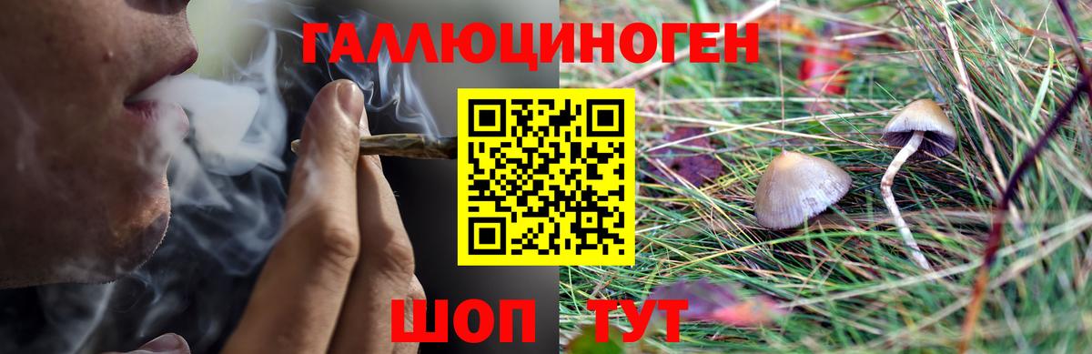 Галлюциногенные грибы Cubensis Ярославль