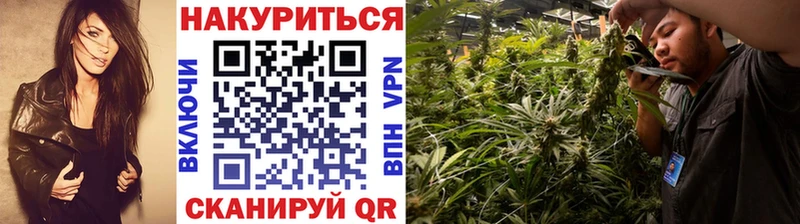 Бошки марихуана планчик  Ярославль 